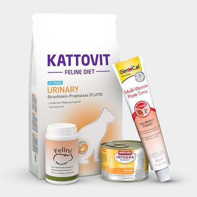 Cat Healthcare & Treatments