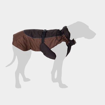 Dog Coats & Clothing