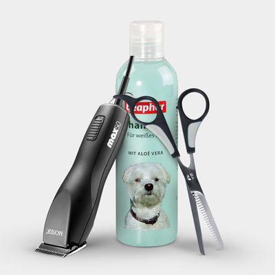 Dog Grooming at Home