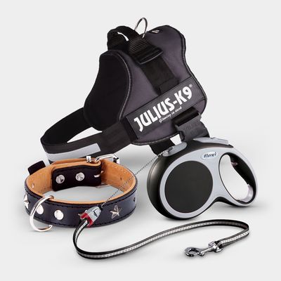 Dog Collars, Harnesses, Leads & Tags