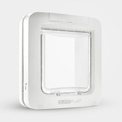 Pet Technology For Dogs